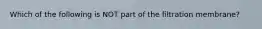 Which of the following is NOT part of the filtration membrane?