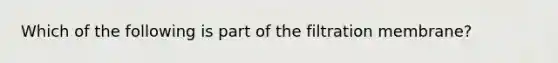 Which of the following is part of the filtration membrane?