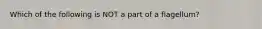 Which of the following is NOT a part of a flagellum?