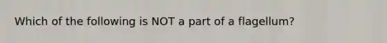 Which of the following is NOT a part of a flagellum?