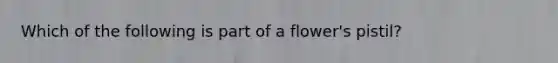 Which of the following is part of a flower's pistil?