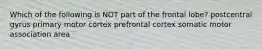 Which of the following is NOT part of the frontal lobe? postcentral gyrus primary motor cortex prefrontal cortex somatic motor association area