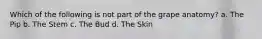 Which of the following is not part of the grape anatomy? a. The Pip b. The Stem c. The Bud d. The Skin