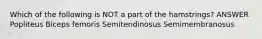 Which of the following is NOT a part of the hamstrings? ANSWER Popliteus Biceps femoris Semitendinosus Semimembranosus