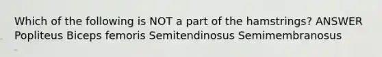 Which of the following is NOT a part of the hamstrings? ANSWER Popliteus Biceps femoris Semitendinosus Semimembranosus