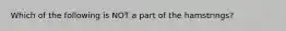 Which of the following is NOT a part of the hamstrings?