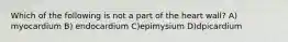 Which of the following is not a part of the heart wall? A) myocardium B) endocardium C)epimysium D)dpicardium