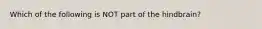 Which of the following is NOT part of the hindbrain?