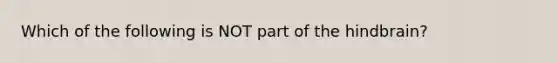 Which of the following is NOT part of the hindbrain?