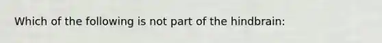 Which of the following is not part of the hindbrain: