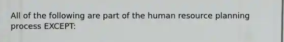 All of the following are part of the human resource planning process EXCEPT: