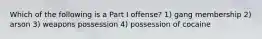 Which of the following is a Part I offense? 1) gang membership 2) arson 3) weapons possession 4) possession of cocaine