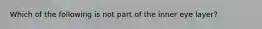 Which of the following is not part of the inner eye layer?