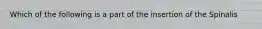 Which of the following is a part of the insertion of the Spinalis