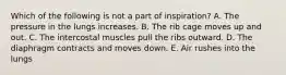 Which of the following is not a part of inspiration? A. The pressure in the lungs increases. B. The rib cage moves up and out. C. The intercostal muscles pull the ribs outward. D. The diaphragm contracts and moves down. E. Air rushes into the lungs