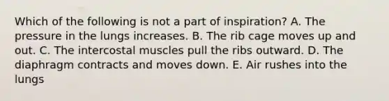 Which of the following is not a part of inspiration? A. The pressure in the lungs increases. B. The rib cage moves up and out. C. The intercostal muscles pull the ribs outward. D. The diaphragm contracts and moves down. E. Air rushes into the lungs