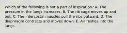 Which of the following is not a part of inspiration? A. The pressure in the lungs increases. B. The rib cage moves up and out. C. The intercostal muscles pull the ribs outward. D. The diaphragm contracts and moves down. E. Air rushes into the lungs.