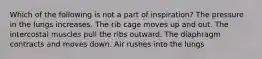 Which of the following is not a part of inspiration? The pressure in the lungs increases. The rib cage moves up and out. The intercostal muscles pull the ribs outward. The diaphragm contracts and moves down. Air rushes into the lungs