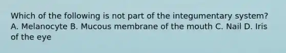 Which of the following is not part of the integumentary system? A. Melanocyte B. Mucous membrane of <a href='https://www.questionai.com/knowledge/krBoWYDU6j-the-mouth' class='anchor-knowledge'>the mouth</a> C. Nail D. Iris of the eye