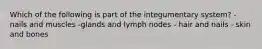 Which of the following is part of the integumentary system? - nails and muscles -glands and lymph nodes - hair and nails - skin and bones