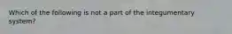 Which of the following is not a part of the integumentary system?