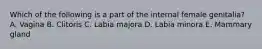 Which of the following is a part of the internal female genitalia? A. Vagina B. Clitoris C. Labia majora D. Labia minora E. Mammary gland