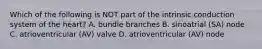 Which of the following is NOT part of the intrinsic conduction system of the heart? A. bundle branches B. sinoatrial (SA) node C. atrioventricular (AV) valve D. atrioventricular (AV) node