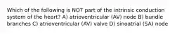 Which of the following is NOT part of the intrinsic conduction system of the heart? A) atrioventricular (AV) node B) bundle branches C) atrioventricular (AV) valve D) sinoatrial (SA) node