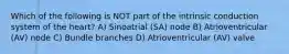 Which of the following is NOT part of the intrinsic conduction system of the heart? A) Sinoatrial (SA) node B) Atrioventricular (AV) node C) Bundle branches D) Atrioventricular (AV) valve