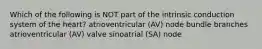 Which of the following is NOT part of the intrinsic conduction system of the heart? atrioventricular (AV) node bundle branches atrioventricular (AV) valve sinoatrial (SA) node