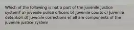 Which of the following is not a part of the juvenile justice system? a) juvenile police officers b) Juvenile courts c) Juvenile detention d) Juvenile corrections e) all are components of the juvenile justice system