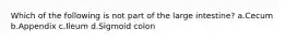 Which of the following is not part of the large intestine? a.Cecum b.Appendix c.Ileum d.Sigmoid colon