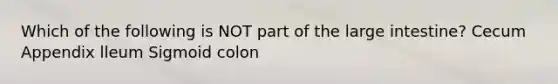 Which of the following is NOT part of the <a href='https://www.questionai.com/knowledge/kGQjby07OK-large-intestine' class='anchor-knowledge'>large intestine</a>? Cecum Appendix lleum Sigmoid colon