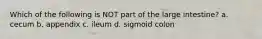 Which of the following is NOT part of the large intestine? a. cecum b. appendix c. ileum d. sigmoid colon