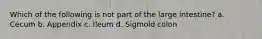 Which of the following is not part of the large intestine? a. Cecum b. Appendix c. Ileum d. Sigmoid colon