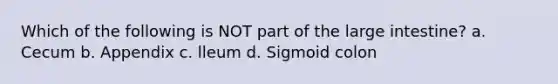 Which of the following is NOT part of the large intestine? a. Cecum b. Appendix c. lleum d. Sigmoid colon