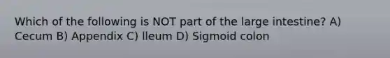 Which of the following is NOT part of the large intestine? A) Cecum B) Appendix C) lleum D) Sigmoid colon