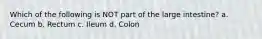 Which of the following is NOT part of the large intestine? a. Cecum b. Rectum c. Ileum d. Colon