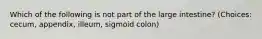 Which of the following is not part of the large intestine? (Choices: cecum, appendix, illeum, sigmoid colon)