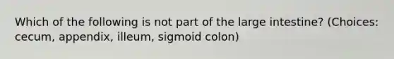 Which of the following is not part of the large intestine? (Choices: cecum, appendix, illeum, sigmoid colon)