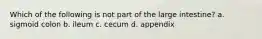 Which of the following is not part of the large intestine? a. sigmoid colon b. ileum c. cecum d. appendix