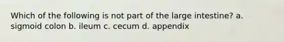 Which of the following is not part of the large intestine? a. sigmoid colon b. ileum c. cecum d. appendix