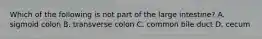 Which of the following is not part of the large intestine? A. sigmoid colon B. transverse colon C. common bile duct D. cecum