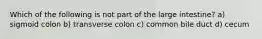 Which of the following is not part of the large intestine? a) sigmoid colon b) transverse colon c) common bile duct d) cecum