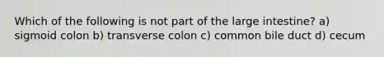 Which of the following is not part of the large intestine? a) sigmoid colon b) transverse colon c) common bile duct d) cecum