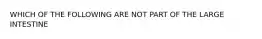 WHICH OF THE FOLLOWING ARE NOT PART OF THE LARGE INTESTINE