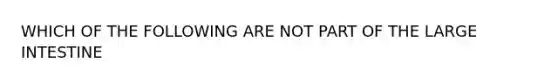 WHICH OF THE FOLLOWING ARE NOT PART OF THE LARGE INTESTINE