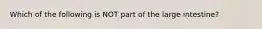 Which of the following is NOT part of the large intestine?