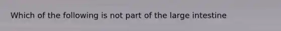 Which of the following is not part of the large intestine