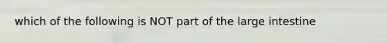 which of the following is NOT part of the large intestine